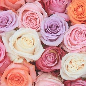 Meet your Posher, Francesca